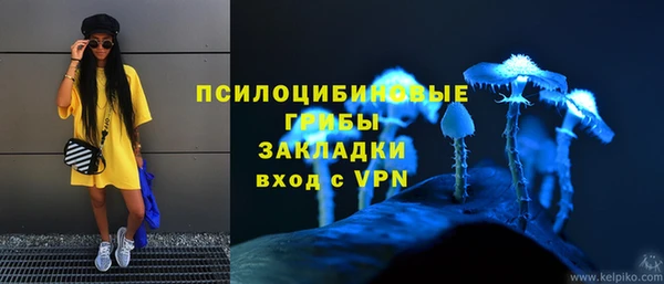 прущие грибы Мегион