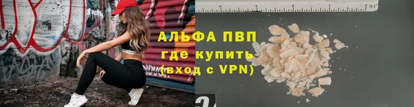 прущие грибы Мегион