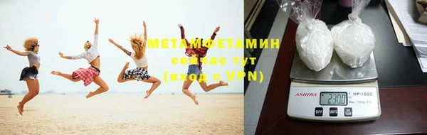 прущие грибы Мегион