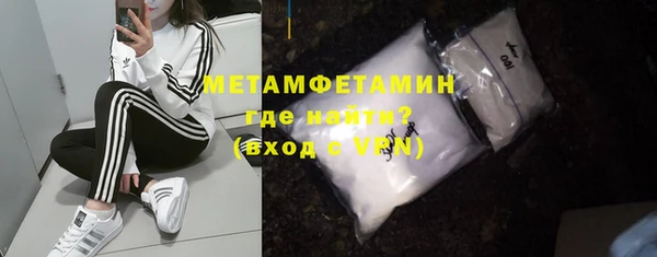 прущие грибы Мегион