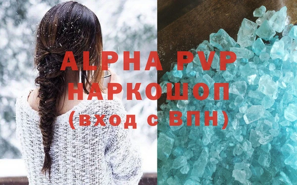 прущие грибы Мегион