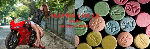 прущие грибы Мегион